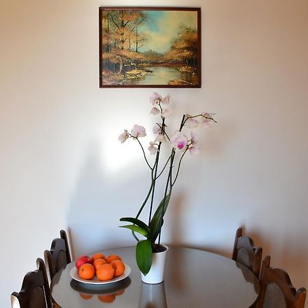 Apartment Matea Petrovac 외부 사진